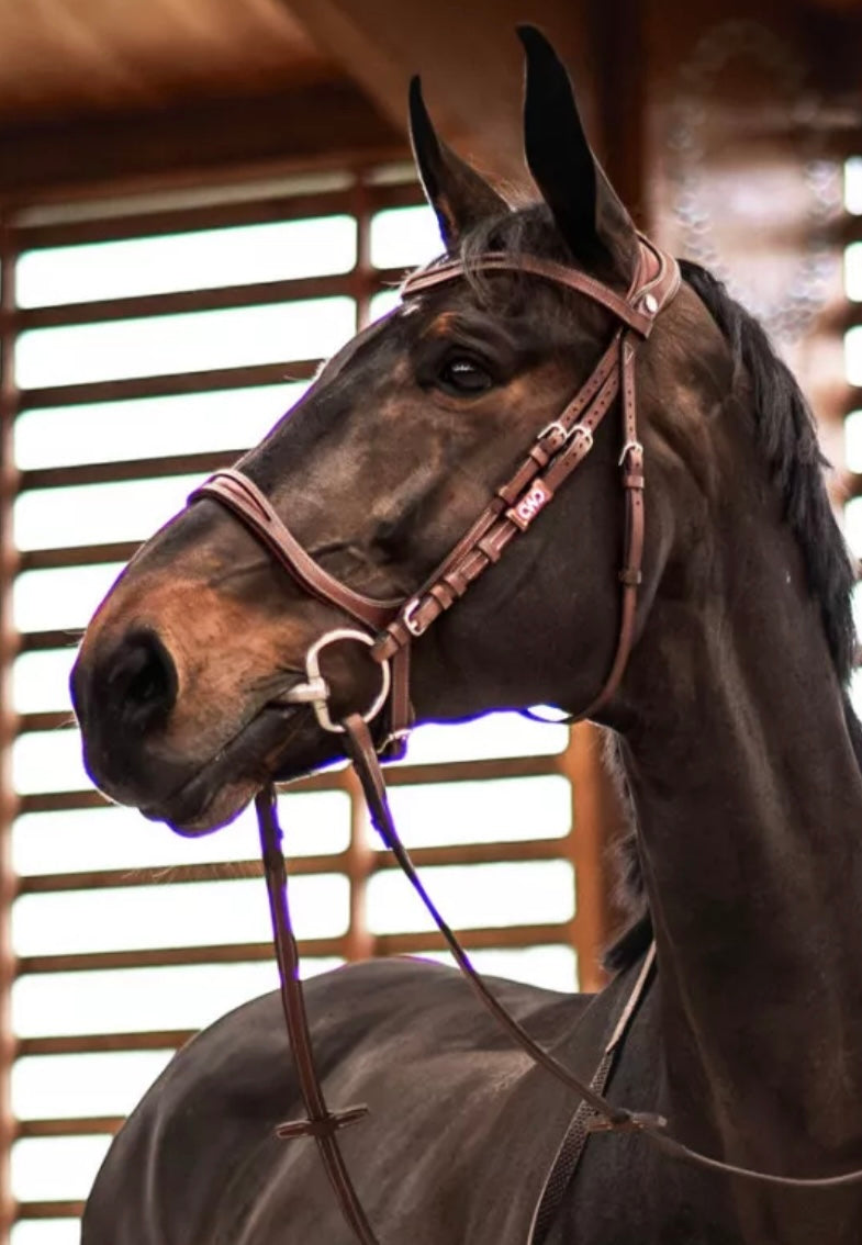 CWD FlexMotion Bridle