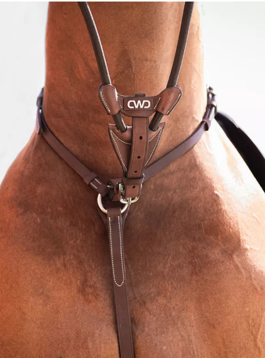 CWD Elastic Running Martingale