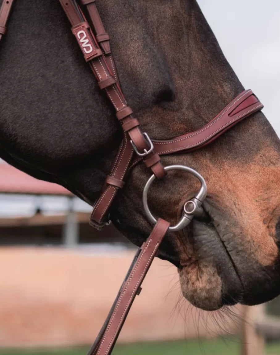 CWD FlexMotion Bridle