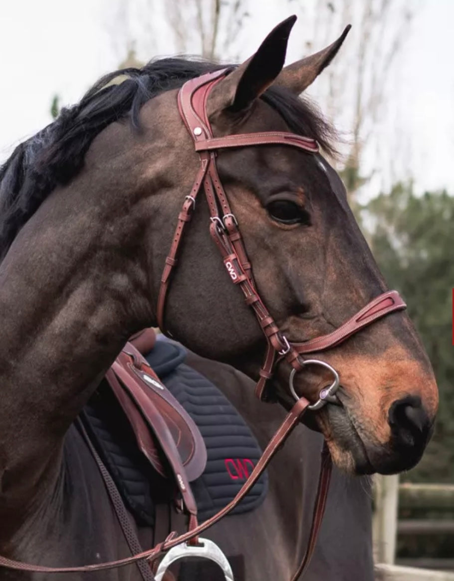 CWD FlexMotion Bridle