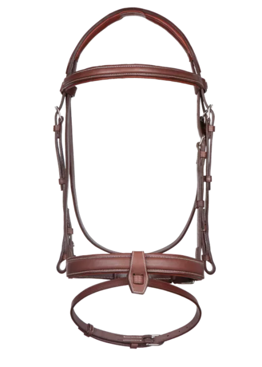 CWD THE ONE Mclain Ward Bridle