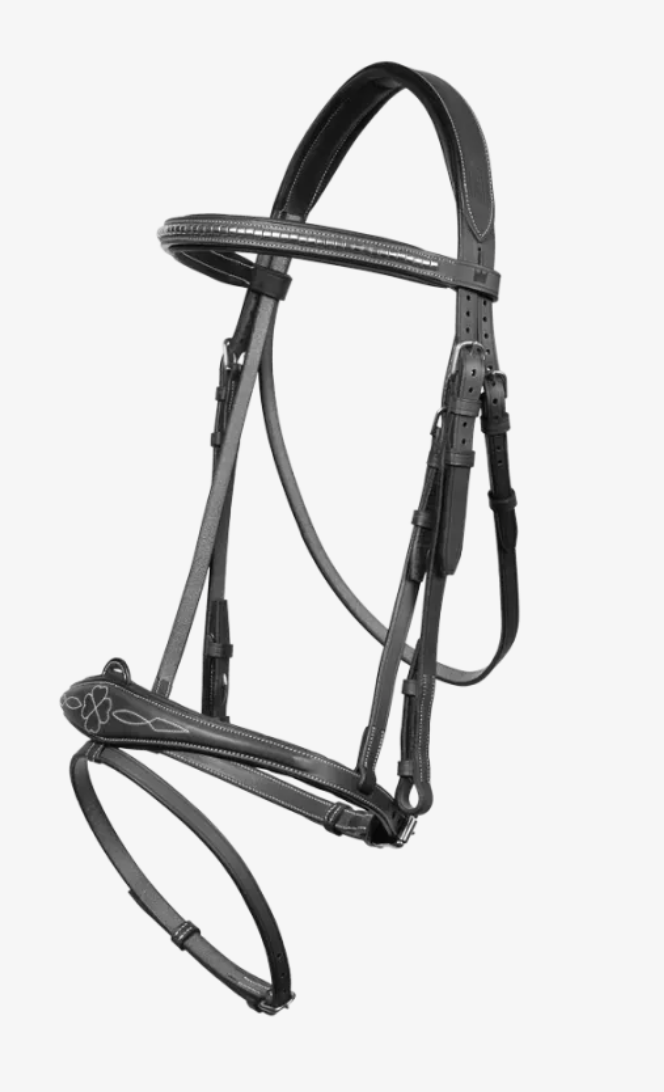 CWD THE ONE Harrie Smolders Bridle With Reins