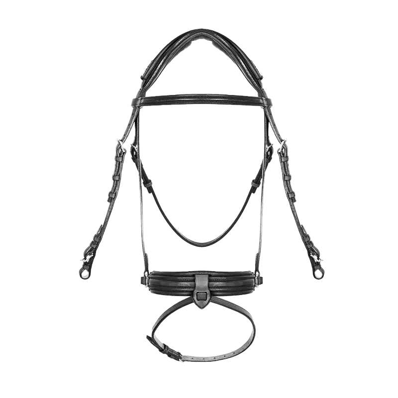 CWD Dressage Crank Bridle BR12