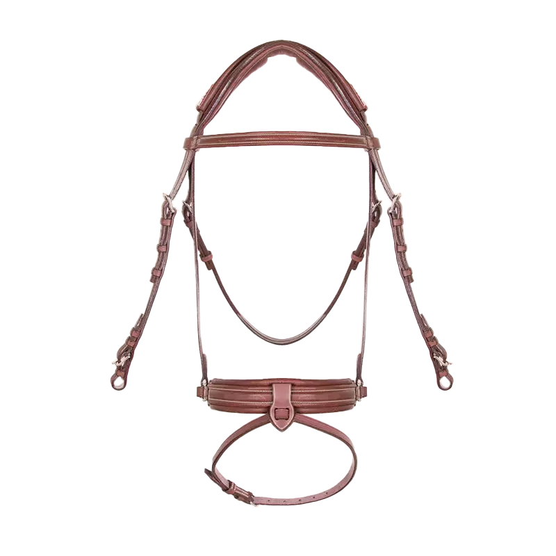 CWD Dressage Crank Bridle BR12