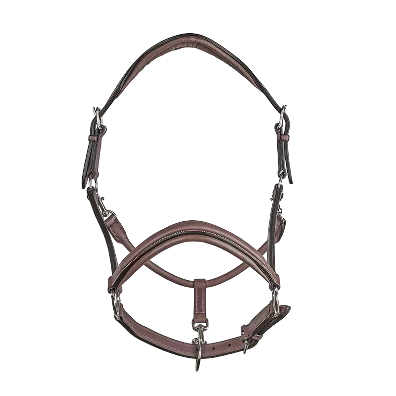 CWD Stable Halter LI02