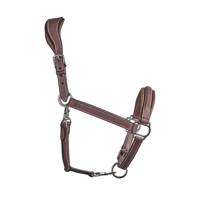 CWD Stable Halter LI02