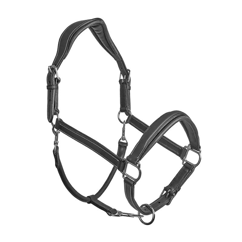 CWD Stable Halter LI02