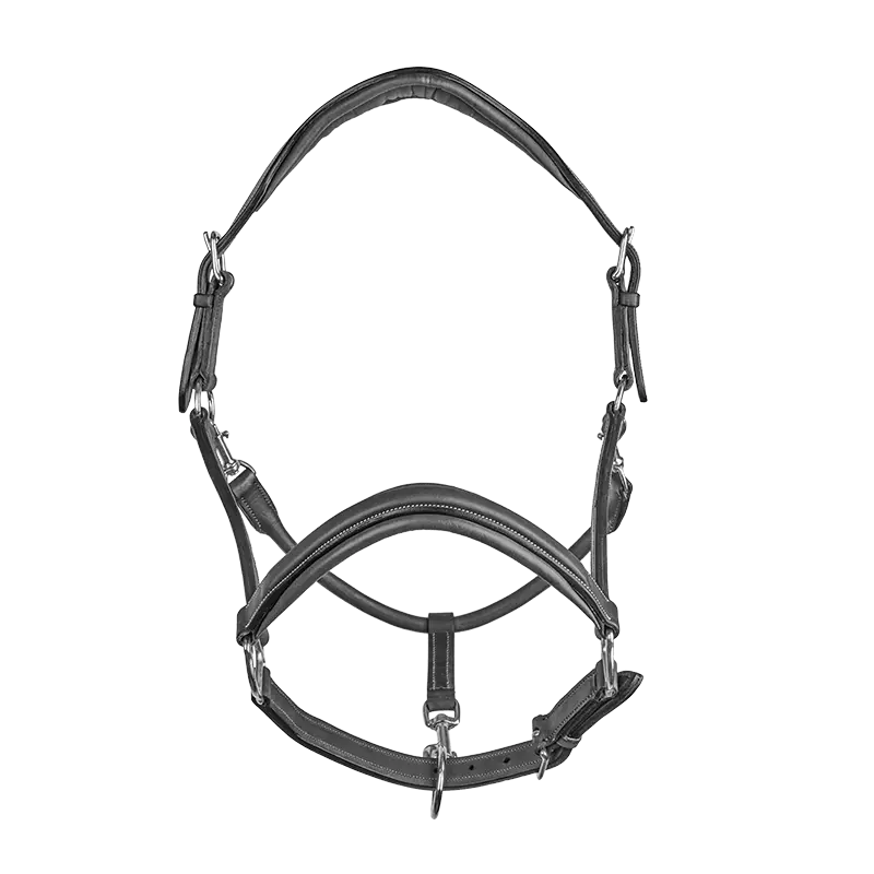 CWD Stable Halter LI02