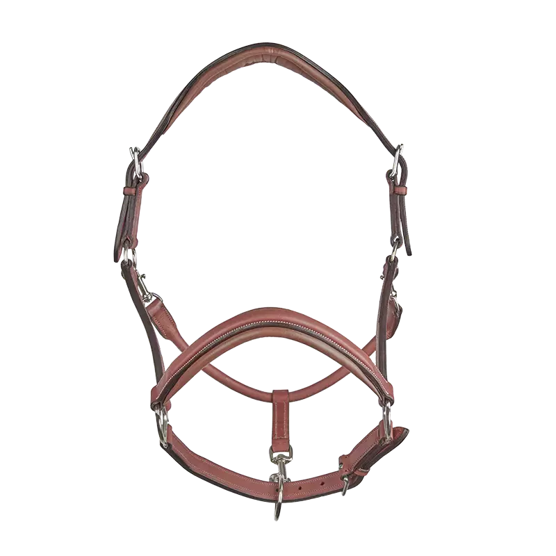 CWD Stable Halter LI02