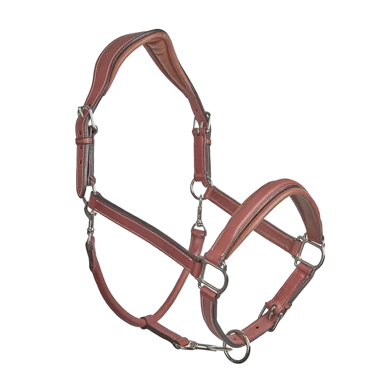 CWD Stable Halter LI02